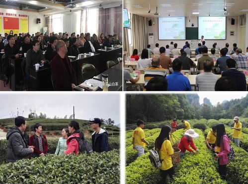 科技賦能茶香飄 安溪茶學院茶學系教工黨支部打造產業振興示范網，